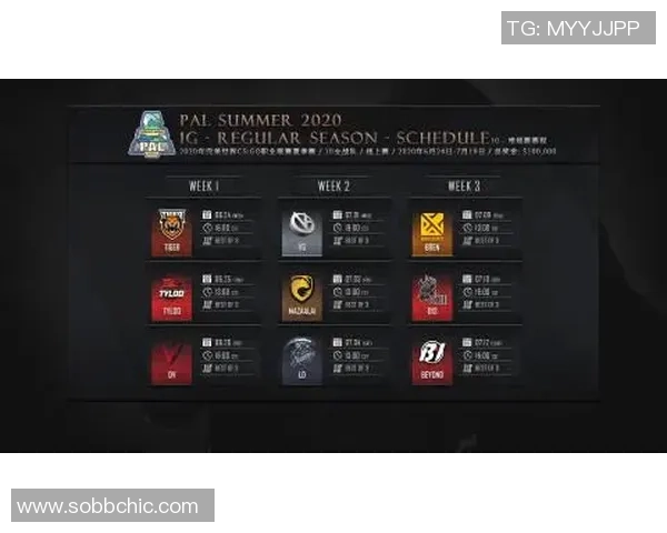 CSGO个人能力排行榜揭晓WE战队荣登第六位展现强大实力