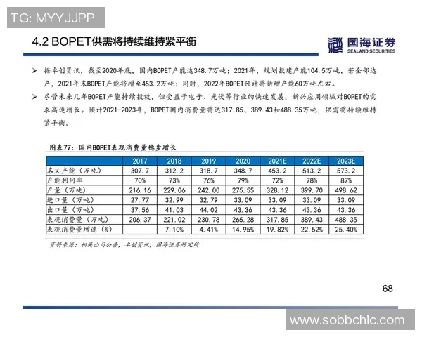 上海排球队耐力分析与训练策略的深度探讨与研究